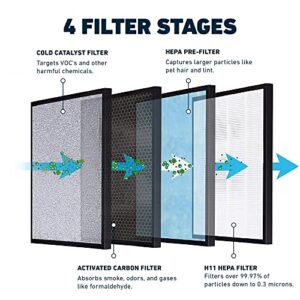 HATHASPACE Certified Replacement Filters for HSP001 Smart True HEPA Air Purifier, 1 Set, H11 True HEPA