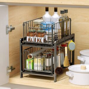 Under Sink Organizer, FLYWAKE 2-Tier Pull-Out Cabinet Organizer with Hooks for Kitchen Bathroom Organizers and Storage Organization (Shiny black)