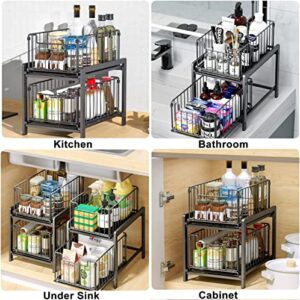 Under Sink Organizer, FLYWAKE 2-Tier Pull-Out Cabinet Organizer with Hooks for Kitchen Bathroom Organizers and Storage Organization (Shiny black)