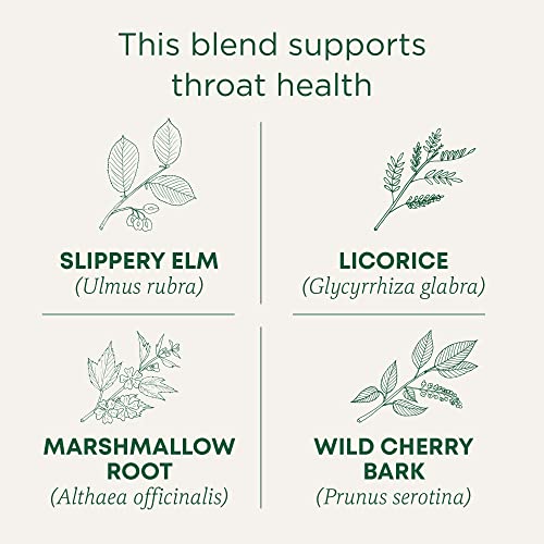 Traditional Medicinals Organic Throat Coat Seasonal Tea, 16 Count (Pack of 6)
