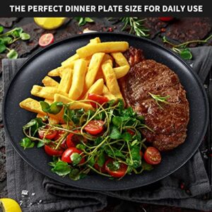 MISS BIG Dinner Plates, 10 inches Plastic Plates Set of 4,Lightweight Wheat Straw Plates, for Children & Adult Unbreakable Dinnerware Plates, No BPAs and No Chemical Dyes, Kids Plates(Black)