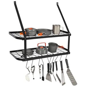 alapur 2 tier wall mounted pot rack storage shelf with 10 hooks,kitchen pots and pans hanging rack holder for utensils cookware household,black
