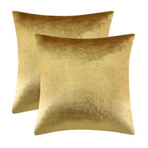 gigizaza gold velvet decorative throw pillow covers,18×18 pillow covers for couch sofa bed 2 pack soft cushion covers