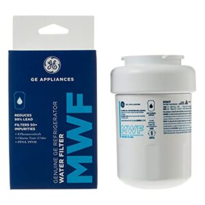 GE MWF Refrigerator Water Filter | Certified to Reduce Lead, Sulfur, and 50+ Other Impurities | Replace Every 6 Months for Best Results | Pack of 1