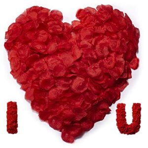 HongyiTime 1200 PCS Artificial Silk Rose Petals Decoration for Romantic Night, Wedding, Event, Party, Decoration,Decoration Wedding Party Color Red Rose Petals (Red)