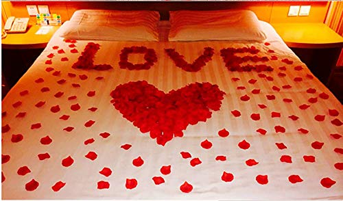 HongyiTime 1200 PCS Artificial Silk Rose Petals Decoration for Romantic Night, Wedding, Event, Party, Decoration,Decoration Wedding Party Color Red Rose Petals (Red)