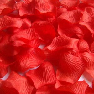 HongyiTime 1200 PCS Artificial Silk Rose Petals Decoration for Romantic Night, Wedding, Event, Party, Decoration,Decoration Wedding Party Color Red Rose Petals (Red)