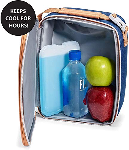 Fit + Fresh XL Cool Coolers Freezer Slim Ice Pack for Lunch Box, Coolers, Beach Bags and Picnic Baskets, Multi-Colored, 4 pack, Extra Large