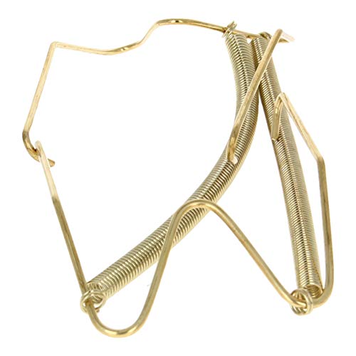 Bettomshin 1PCS Plate Hanger 13.98" W Type Stainless Steel Plate Hangers Invisible Wall Hooks for Walls Compatible Decorative Plates Hooks Dish Diaplay Holder Golden