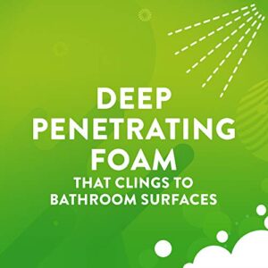 Scrubbing Bubbles, Foaming Bleach Bathroom Cleaner, 32 oz