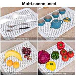 Tableware Drying Tray,Plastic drying dish, 16.2"×11"white，Draining plate，Double Layer Drain Tray, Drying dish,Dish Drying tray.Drain tray for tableware,cups,fruits,vegetables and condiments