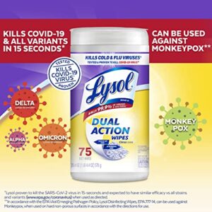 Lysol Dual Action Disinfectant Wipes, Multi-Surface Antibacterial Scrubbing Wipes, For Disinfecting and Cleaning, Citrus Scent, 75ct