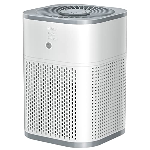 Air Purifiers for Bedroom, H13 True HEPA Filter for Home large Room, Air Filter with Sleep Model, 24db Filtration System, 360° Air Intake for Pet Dander Dust Pollen Smoke Allergie, White