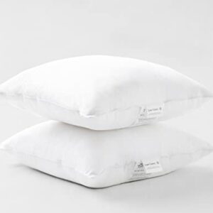 18 x 18 Throw Pillow Insert - Pack of 2 White Throw Pillows, Down Alternative Pillow Inserts for Decorative Pillow Covers, Throw Pillows for Bed, Couch Pillows for Living Room