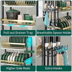 Kitchen Dish Drainer Rack, Large Capacity Carbon Steel Countertop Dish Storage Rack, with Utensil & Cutting Board Holder & Drip Tray,2 Tier,Large