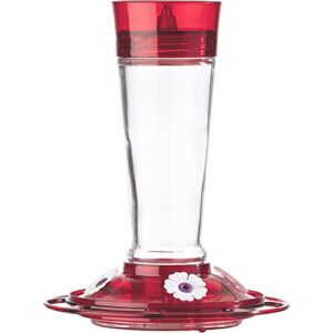 more birds bird health+ ruby hummingbird feeder, glass hummingbird feeders for outdoors, 4 feeding stations, 10 ounces