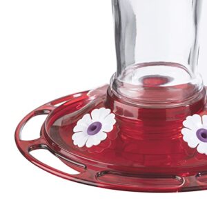 More Birds Bird Health+ Ruby Hummingbird Feeder, Glass Hummingbird Feeders for Outdoors, 4 Feeding Stations, 10 Ounces