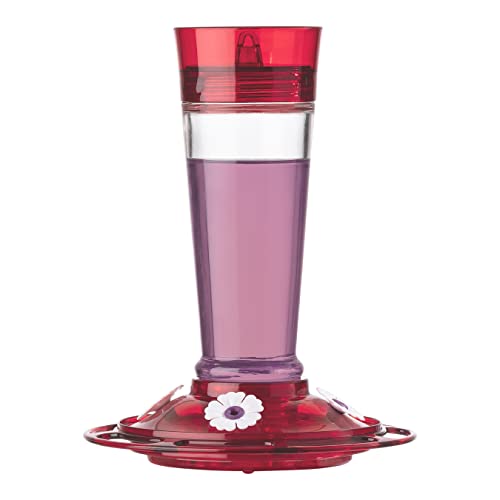 More Birds Bird Health+ Ruby Hummingbird Feeder, Glass Hummingbird Feeders for Outdoors, 4 Feeding Stations, 10 Ounces