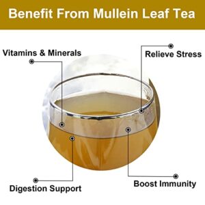 FullChea - Mullein Leaf Tea Bags, 20 Teabags, 3g/bag - Natural Mullein Tea Bags For Lungs - Non-GMO - Caffeine-free - Natural Healthy Herbal Tea For Detox & Respiratory Support