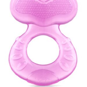 Nuby Silicone Teethe-eez Teether with Bristles, Includes Hygienic Case, Pink