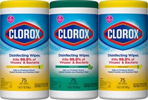 fresh step clorox disinfectant, 75 count (pack of 3), white, 225