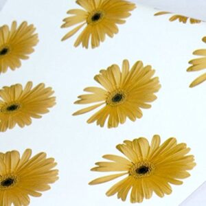 Yifely Peel & Stick Shelf Liner Removable Countertops Paper for Covering Apartment Old Drawer Cabinets, Yellow Daisy, 17.7 Inch by 9.8 Feet