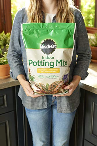 Miracle-Gro Indoor Potting Mix 6 qt., Grows beautiful Houseplants, 2-Pack