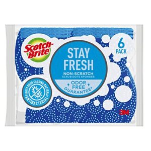 scotch-brite scrub dots non-scratch scrub sponge, rinses clean, for washing dishes and cleaning kitchen, 6 scrub sponges