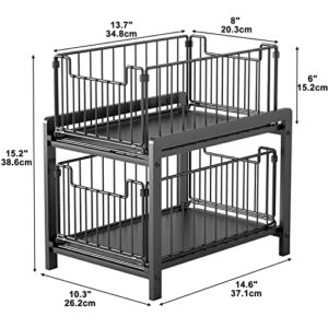 Ryhpez Under Sink Organizers and Storage, 2-Tier Cabinet Organizer Storage with Sliding Baskets Drawer for Kitchen Bathroom (Black)