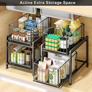 Ryhpez Under Sink Organizers and Storage, 2-Tier Cabinet Organizer Storage with Sliding Baskets Drawer for Kitchen Bathroom (Black)