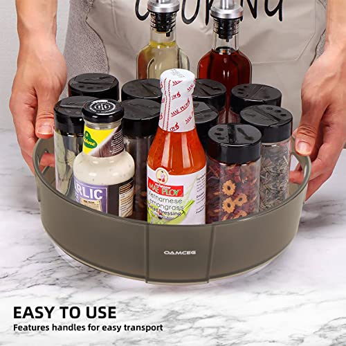 2 Pack Lazy Susan Organizers - OAMCEG 360 Rotating Lazy Susan Spice Rack Turntable, Large Plastic Organizer and Storage for Cabinet, Fridge, Pantry, Bathroom, Countertop (10in & 12in, Round, Grey)