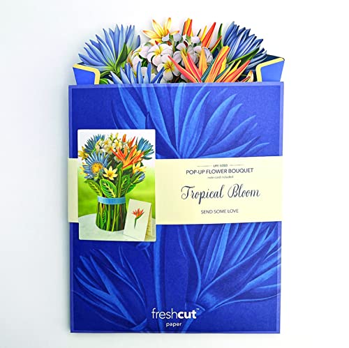 Freshcut Paper Pop Up Cards, Tropical Bloom, 12 inch Life Sized Forever Flower Bouquet 3D Popup Greeting Cards with Note Card and Envelope - Birds of Paradise & Lotus Blossom Flowers