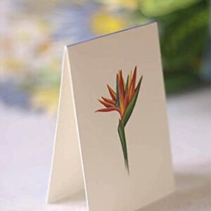 Freshcut Paper Pop Up Cards, Tropical Bloom, 12 inch Life Sized Forever Flower Bouquet 3D Popup Greeting Cards with Note Card and Envelope - Birds of Paradise & Lotus Blossom Flowers