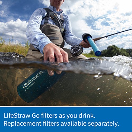 LifeStraw Go Water Filter Bottle with 2-Stage Integrated Filter Straw for Hiking, Backpacking, and Travel, Grey, Model:LSGOV2CR44