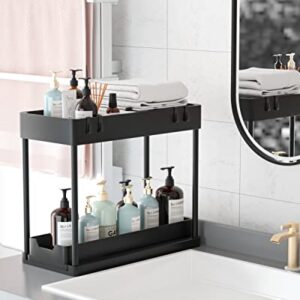 Gaclibl Under Sink Organizers and Storage, 2 Tier Under Cabinet Organizer with 4 Hooks Pull Out Under Sink Storage for Bathroom Kitchen Cabinet Counter Pantry, Black