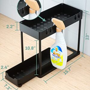 Gaclibl Under Sink Organizers and Storage, 2 Tier Under Cabinet Organizer with 4 Hooks Pull Out Under Sink Storage for Bathroom Kitchen Cabinet Counter Pantry, Black