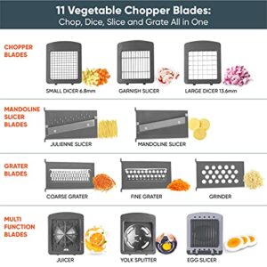 RüK Vegetable Chopper Slicer Onion Chopper Dicer, Multi 22-in-1 Veggie Mandoline Slicer Food Chopper Cutter for Tomato Fruit with Lemon Squeezer, E-Recipe, 11 Blades, Egg Separator & Slicer, Container