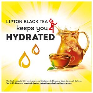 Lipton Gallon-Sized Iced Tea Bags, Great for Party, 48 Tea Bags