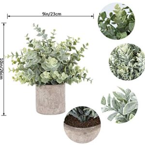 Der Rose 3 Pack Mini Potted Fake Plants Artificial Plastic Eucalyptus Plants for Home Office Desk Farmhouse Room Decor