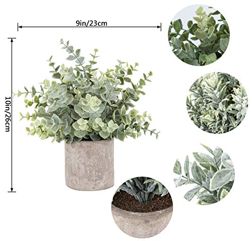 Der Rose 3 Pack Mini Potted Fake Plants Artificial Plastic Eucalyptus Plants for Home Office Desk Farmhouse Room Decor