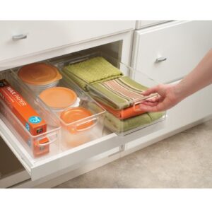 InterDesign Cabinet/Kitchen Binz Kitchen Storage Container, Extra Large Plastic Storage Boxes for The Fridge, Freezer or Pantry, Clear