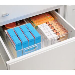 InterDesign Cabinet/Kitchen Binz Kitchen Storage Container, Extra Large Plastic Storage Boxes for The Fridge, Freezer or Pantry, Clear