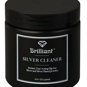 Brilliant Silver Dip Cleaner, Black 8 Oz