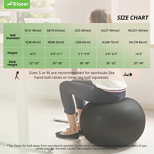 Trideer Extra Thick Yoga Ball Exercise Ball, 5 Sizes Ball Chair, Heavy Duty Swiss Ball for Balance, Stability, Pregnancy, Physical Therapy, Quick Pump Included (Black, L (58-65cm))