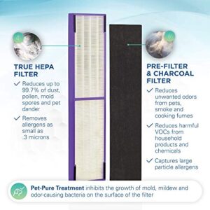 Germ Guardian FLT5250PT True HEPA Genuine Air Purifier Replacement Filter C, with Pet Pure Treatment for GermGuardian AC5250PT, AC5000E, AC5300B, AC5350W, AC5350B, CDAP5500, and More