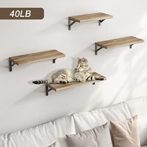 YGEOMER Floating Shelves, Rustic Wood Shelves, 4 Sets of Wall Mounted Shelf for Bathroom Decor, Bedroom, Living Room and Plants (Carbonized Black)