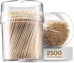 2500 count wooden toothpicks + reusable holder container | sturdy smooth finish bamboo tooth picks | cocktail picks | toothpicks for appetizers | toothpicks wood