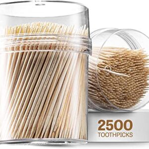 2500 Count Wooden Toothpicks + Reusable Holder Container | Sturdy Smooth Finish Bamboo Tooth Picks | Cocktail Picks | Toothpicks For Appetizers | Toothpicks Wood