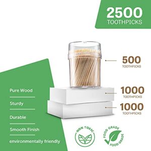 2500 Count Wooden Toothpicks + Reusable Holder Container | Sturdy Smooth Finish Bamboo Tooth Picks | Cocktail Picks | Toothpicks For Appetizers | Toothpicks Wood