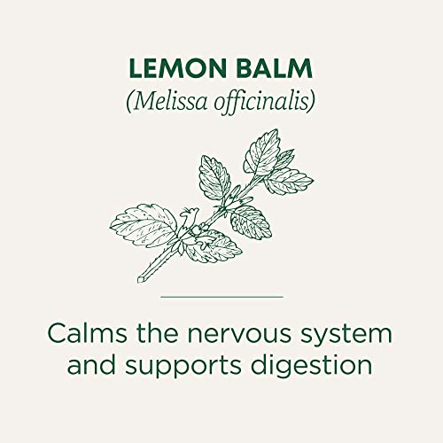 Traditional Medicinals Organic Lemon Balm Herbal Tea, Calming and Supports Digestion, (Pack of 1) - 16 Tea Bags